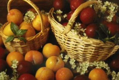 פאזל של Fruites