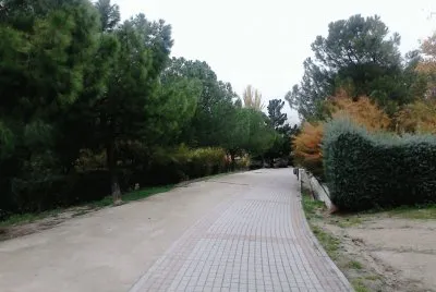 פאזל של nÂº 5