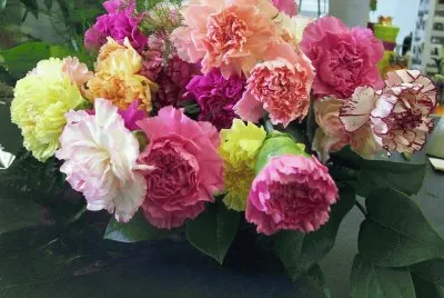 פאזל של bouquet