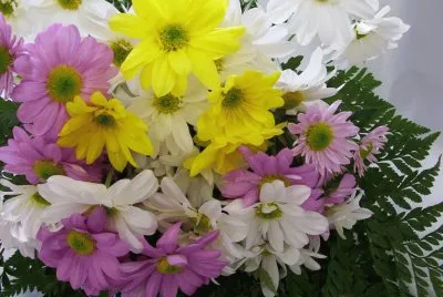 פאזל של bouquet