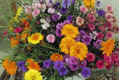 פאזל של bouquet
