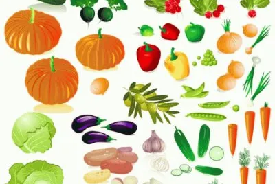 verduras