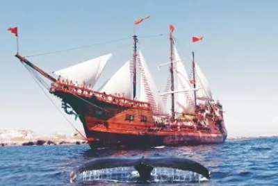 BARCO DE VELA. jigsaw puzzle