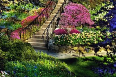 פאזל של jardim