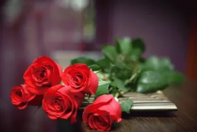 פאזל של Rosas.-