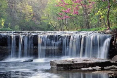 פאזל של naturaleza