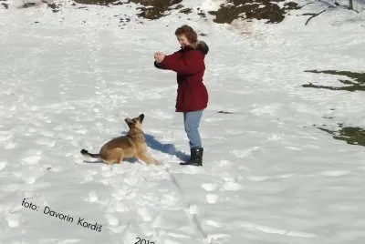 Lina/Breda-dog