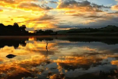 paisagem jigsaw puzzle