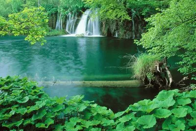 naturaleza jigsaw puzzle