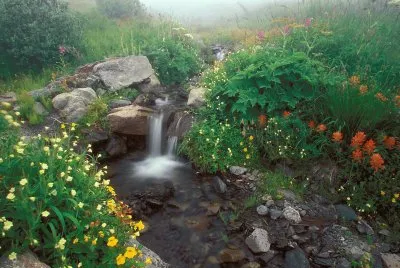 naturaleza jigsaw puzzle