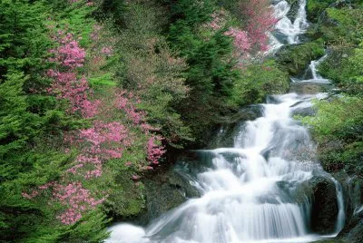 JapÃ³n jigsaw puzzle