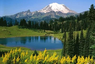 naturaleza jigsaw puzzle