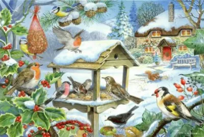 Birds in the Snow