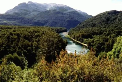 Parque Nacional Los Alerces. Chubut. Argentina jigsaw puzzle