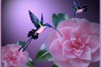 beijaflor1 jigsaw puzzle