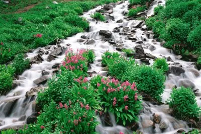 naturaleza