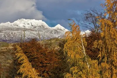 Patagonia