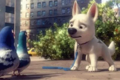 Bolt