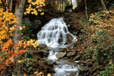 naturaleza