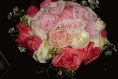 boda jigsaw puzzle