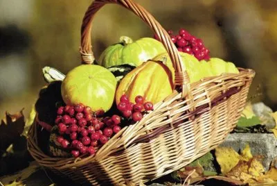 Fruites