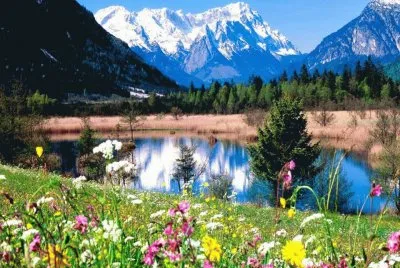 PARAÃSO. jigsaw puzzle