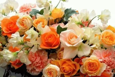 ROSAS. jigsaw puzzle