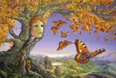 Butterfly Tree