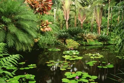 naturaleza