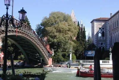 Ponte dell 'Accademia. Venecia.