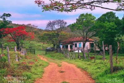 campo