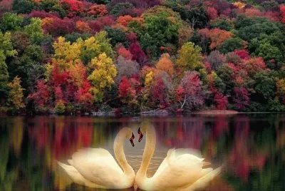 colores