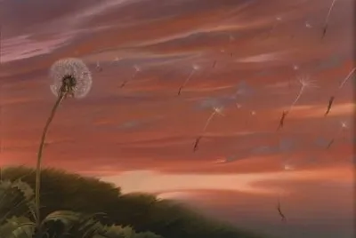 127