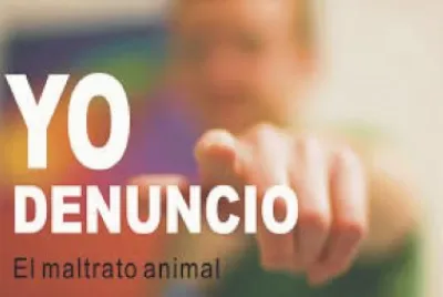 YO DENUNCIO. jigsaw puzzle