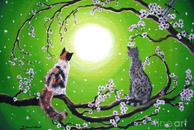 gatos