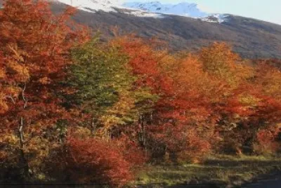 OtoÃ±o