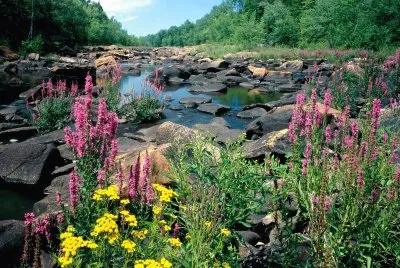 naturaleza