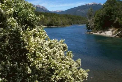 Parque Nacional Los Alerces. Chubut. Argentina