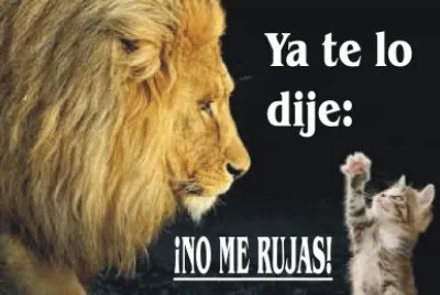 NO ME RUJAS. jigsaw puzzle