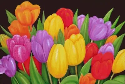 Dutch Tulips