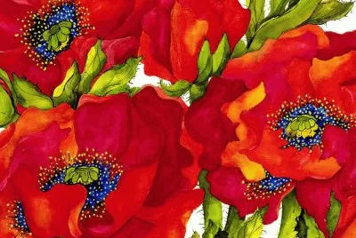Poppies Flowers