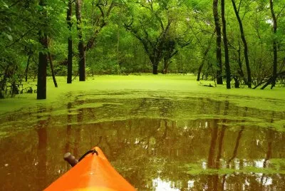 naturaleza