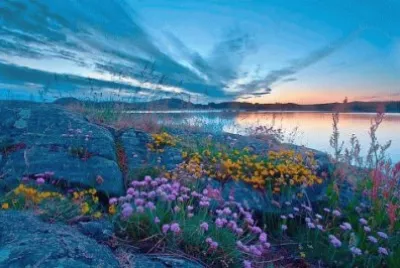 naturaleza