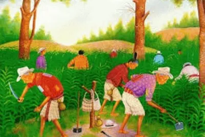 310