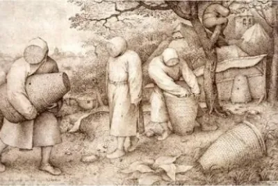 13 jigsaw puzzle