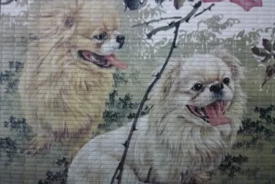 esterilla jigsaw puzzle