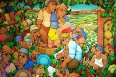 Grape Harvest Argentina