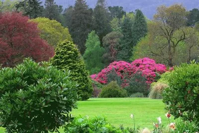 naturaleza