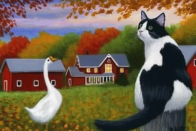 gato