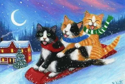 gatos
